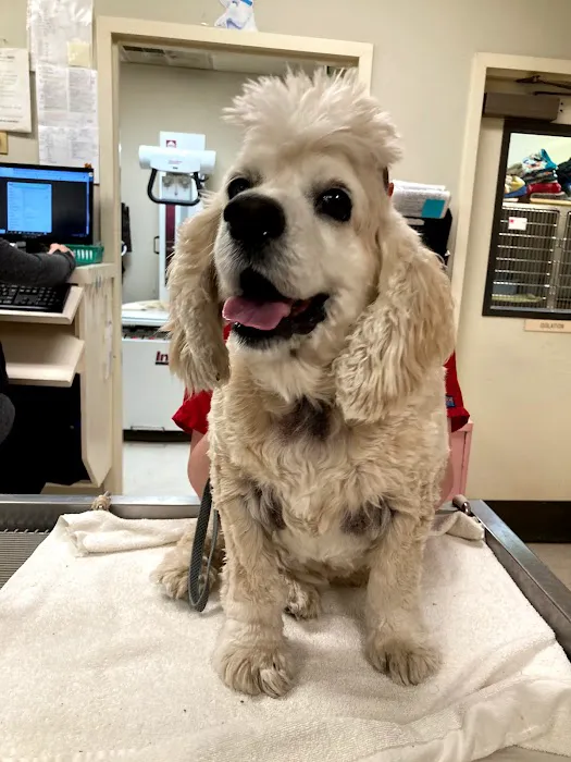 Brantley and Jordan Animal Hospital Picture 8