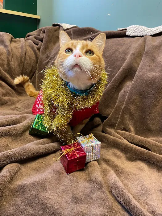 Brantley and Jordan Animal Hospital Picture 10