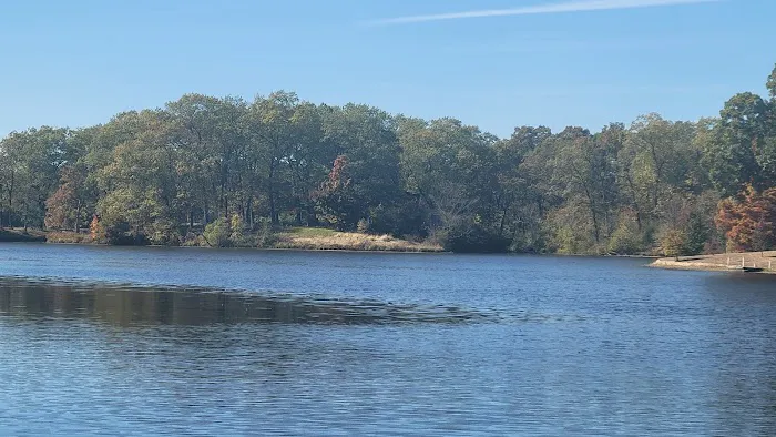 St Elmo Pet Clinic Picture 1