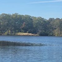 St Elmo Pet Clinic ico