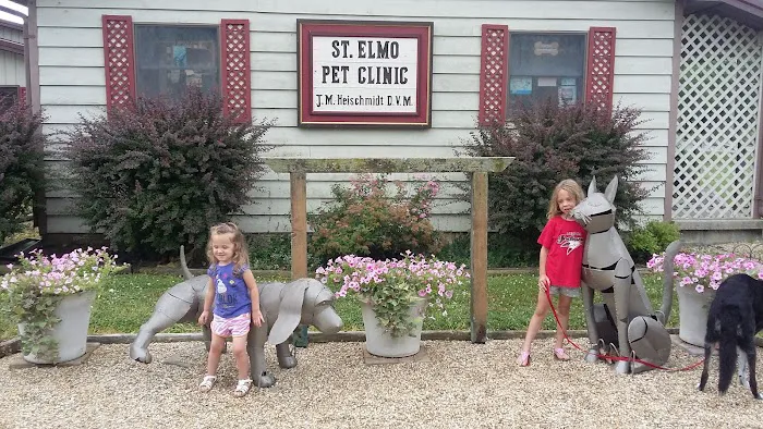 St Elmo Pet Clinic Picture 2
