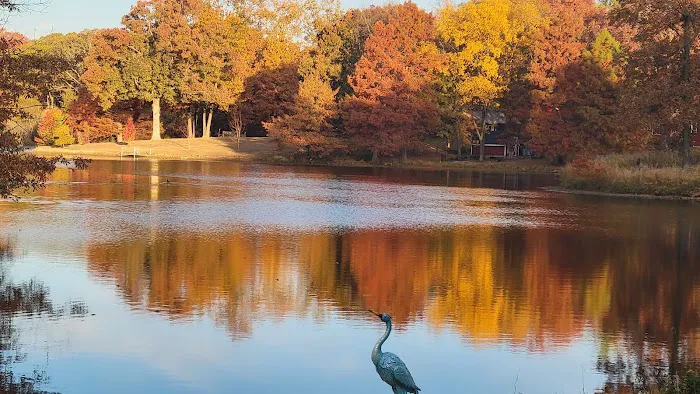 St Elmo Pet Clinic Picture 5