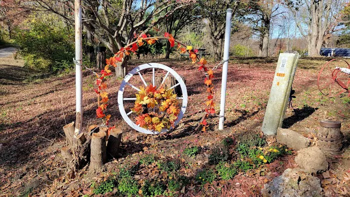 St Elmo Pet Clinic Picture 6