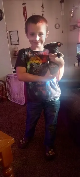 St Elmo Pet Clinic Picture 7