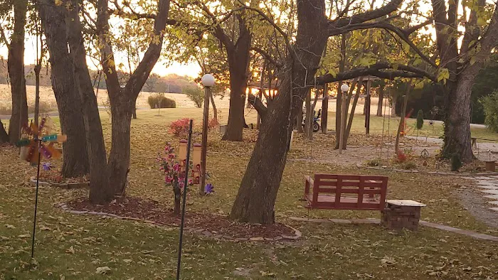 St Elmo Pet Clinic Picture 8