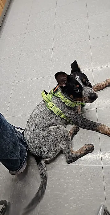 St. Peter Veterinary Clinic Picture 3