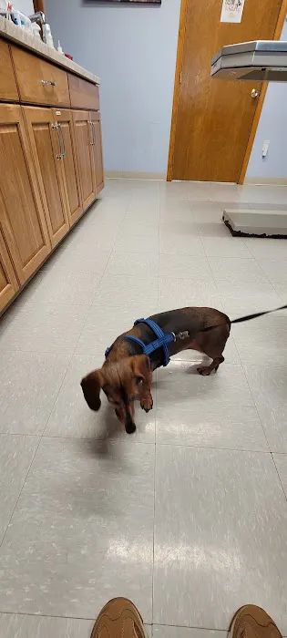 St. Peter Veterinary Clinic Picture 2