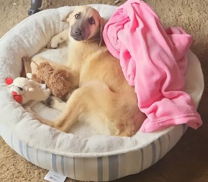 St. Peter Veterinary Clinic Picture 4