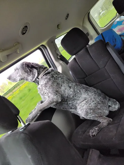 St. Peter Veterinary Clinic Picture 7