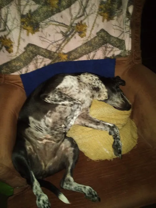 St. Peter Veterinary Clinic Picture 8