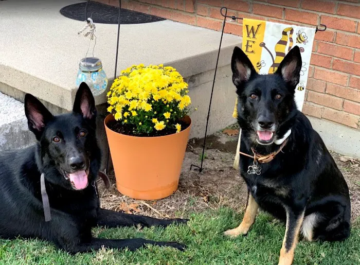 Crooked Creek Animal Hospital Picture 4