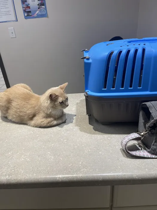 Crooked Creek Animal Hospital Picture 2