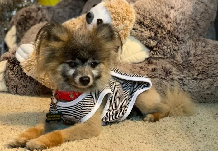 Crooked Creek Animal Hospital Picture 3