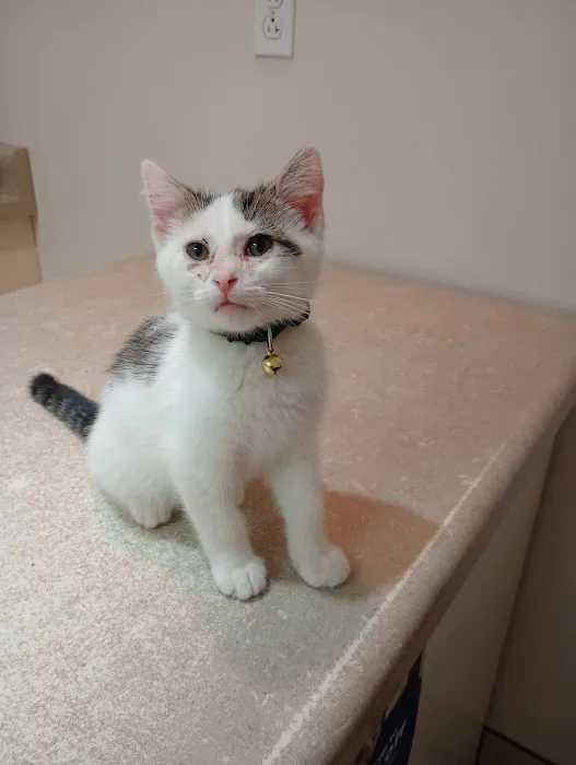 Crooked Creek Animal Hospital Picture 5