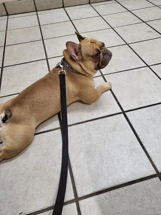 Crooked Creek Animal Hospital Picture 8