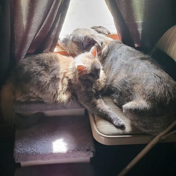 Quad Counties Veterinary Clinic Picture 2