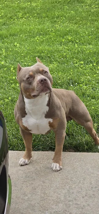 Quad Counties Veterinary Clinic Picture 1