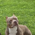 Quad Counties Veterinary Clinic