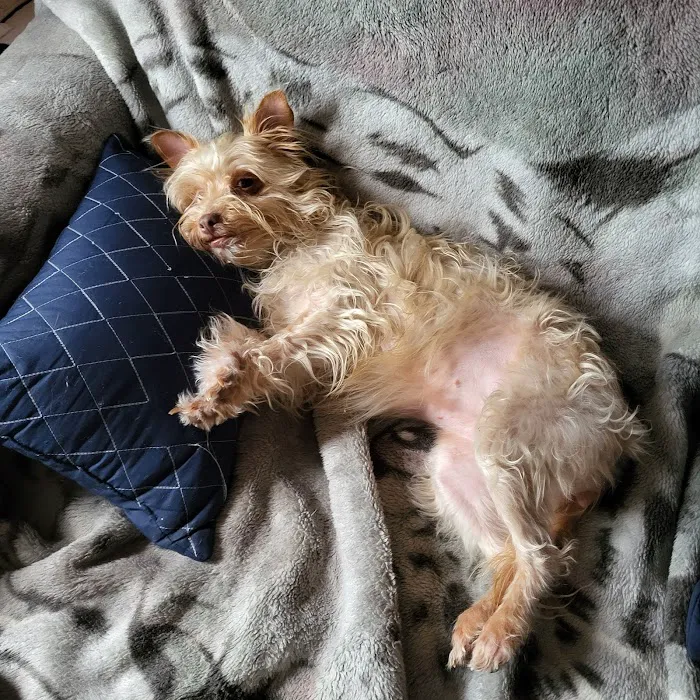 Quad Counties Veterinary Clinic Picture 6