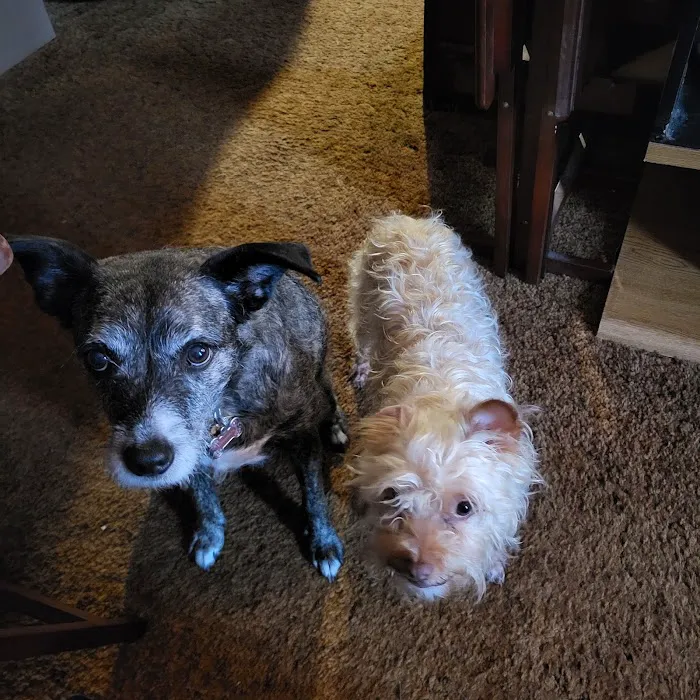 Quad Counties Veterinary Clinic Picture 4