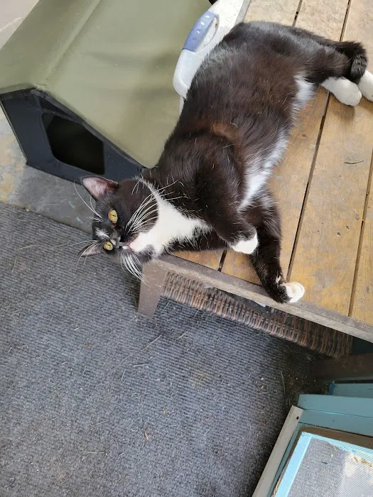 Quad Counties Veterinary Clinic Picture 7