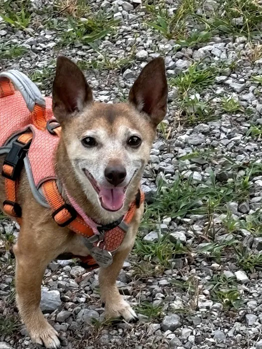 Quad Counties Veterinary Clinic Picture 8