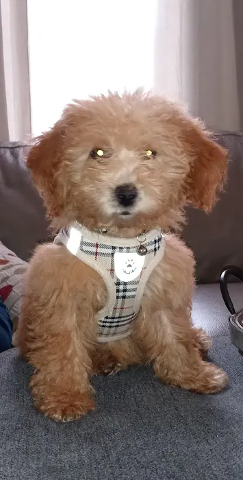 Quad Counties Veterinary Clinic Picture 10