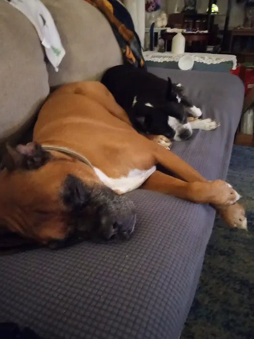 Sprague Allen DVM Picture 6