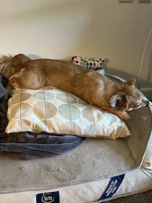 Sprague Allen DVM Picture 4