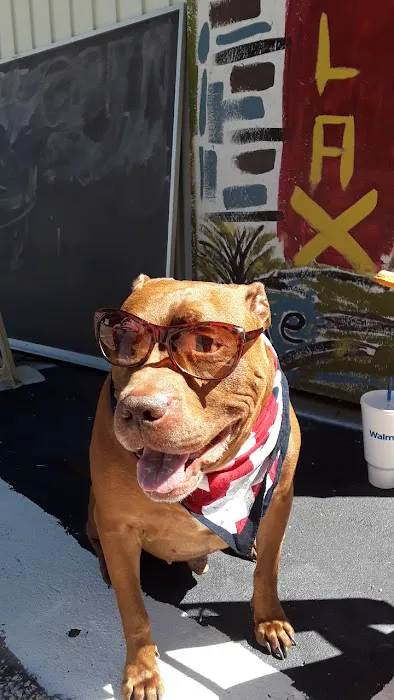 Sprague Allen DVM Picture 5