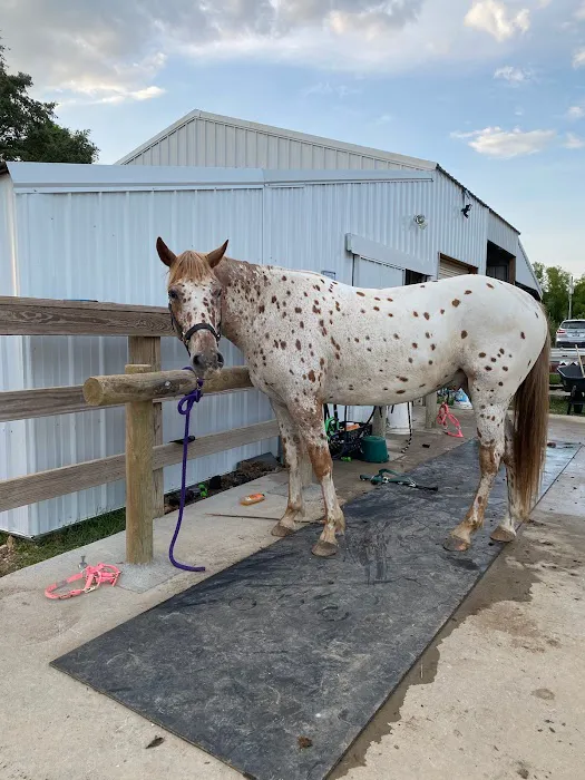 Nashville Animal Clinic Picture 5