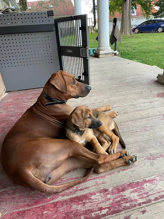 Nashville Animal Clinic Picture 8