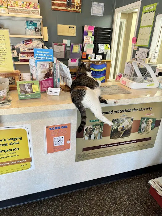 Mascoutah Animal Hospital Picture 1