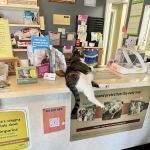 Mascoutah Animal Hospital