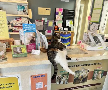 Mascoutah Animal Hospital