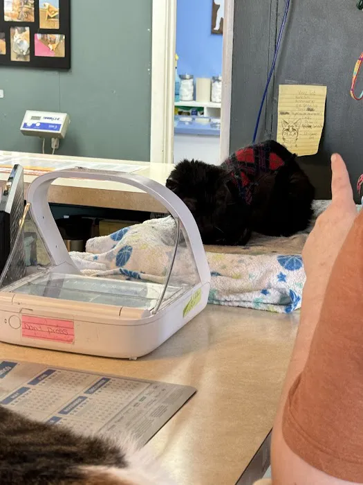 Mascoutah Animal Hospital Picture 3