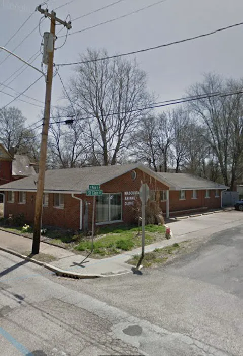 Mascoutah Animal Hospital Picture 7