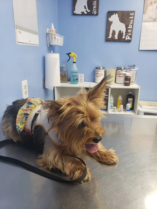 Mascoutah Animal Hospital Picture 6