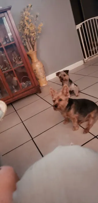 Mascoutah Animal Hospital Picture 8