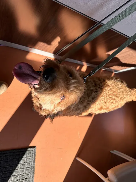 Scott AFB Veterinary Treatment Facility Picture 1