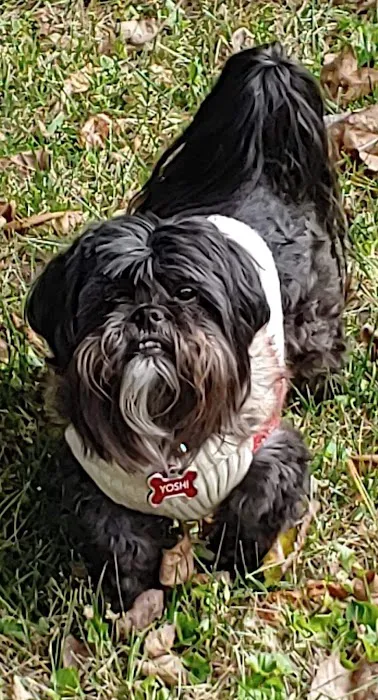 Scott AFB Veterinary Treatment Facility Picture 4