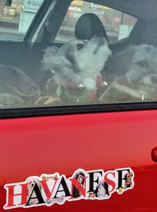 Scott AFB Veterinary Treatment Facility Picture 2