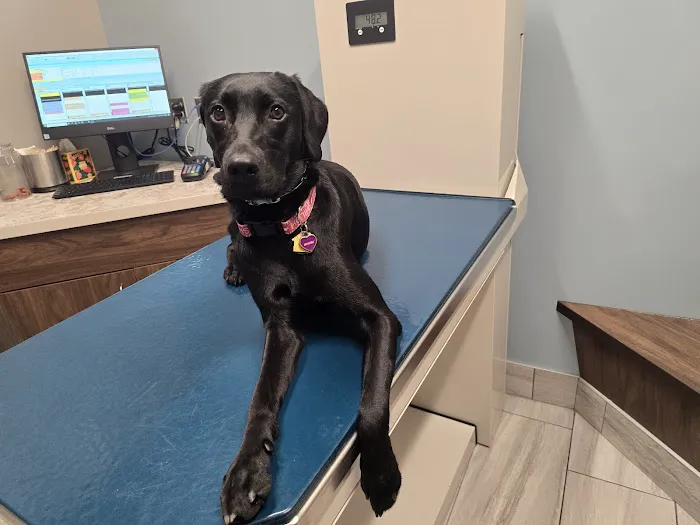 Shiloh Veterinary Clinic Picture 2