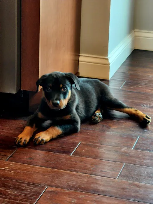 Shiloh Veterinary Clinic Picture 7