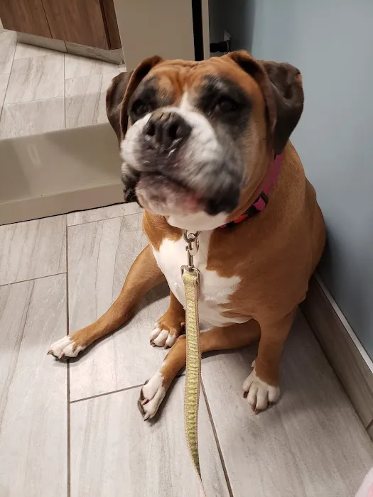 Shiloh Veterinary Clinic Picture 6