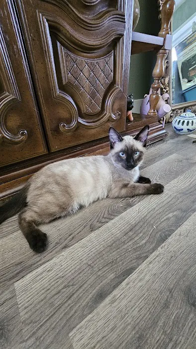 Shiloh Veterinary Clinic Picture 5