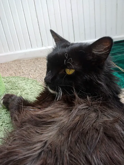 Shiloh Veterinary Clinic Picture 10