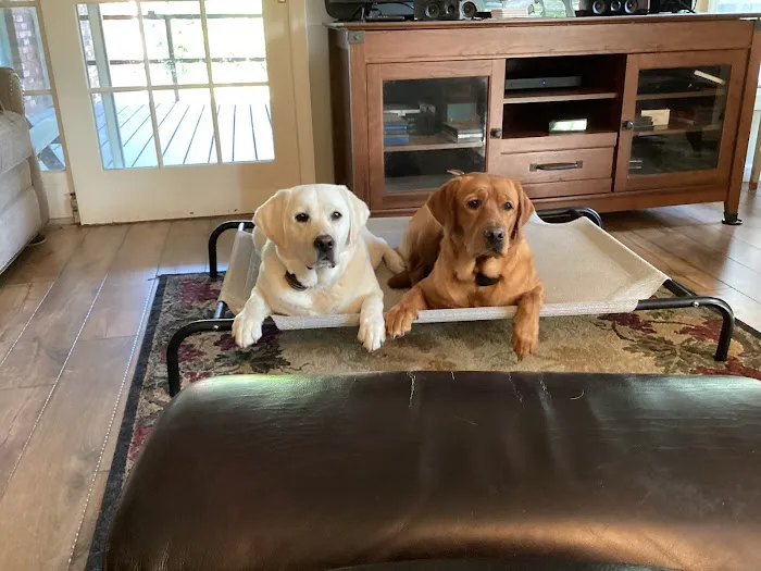 Four Paws Animal Hospital Picture 2