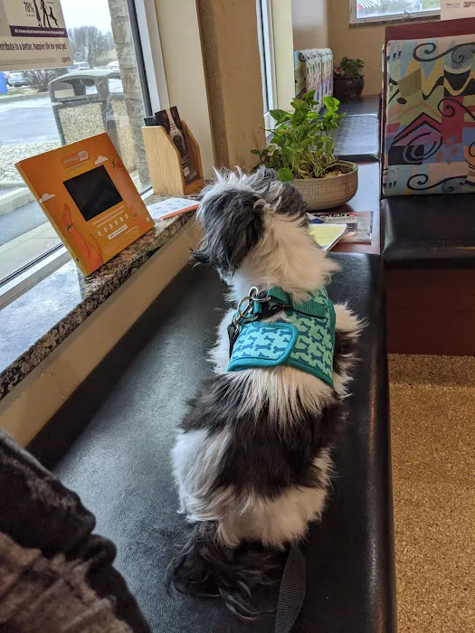 Four Paws Animal Hospital Picture 4