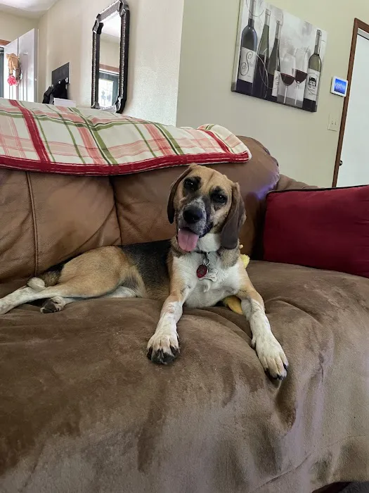 Four Paws Animal Hospital Picture 8